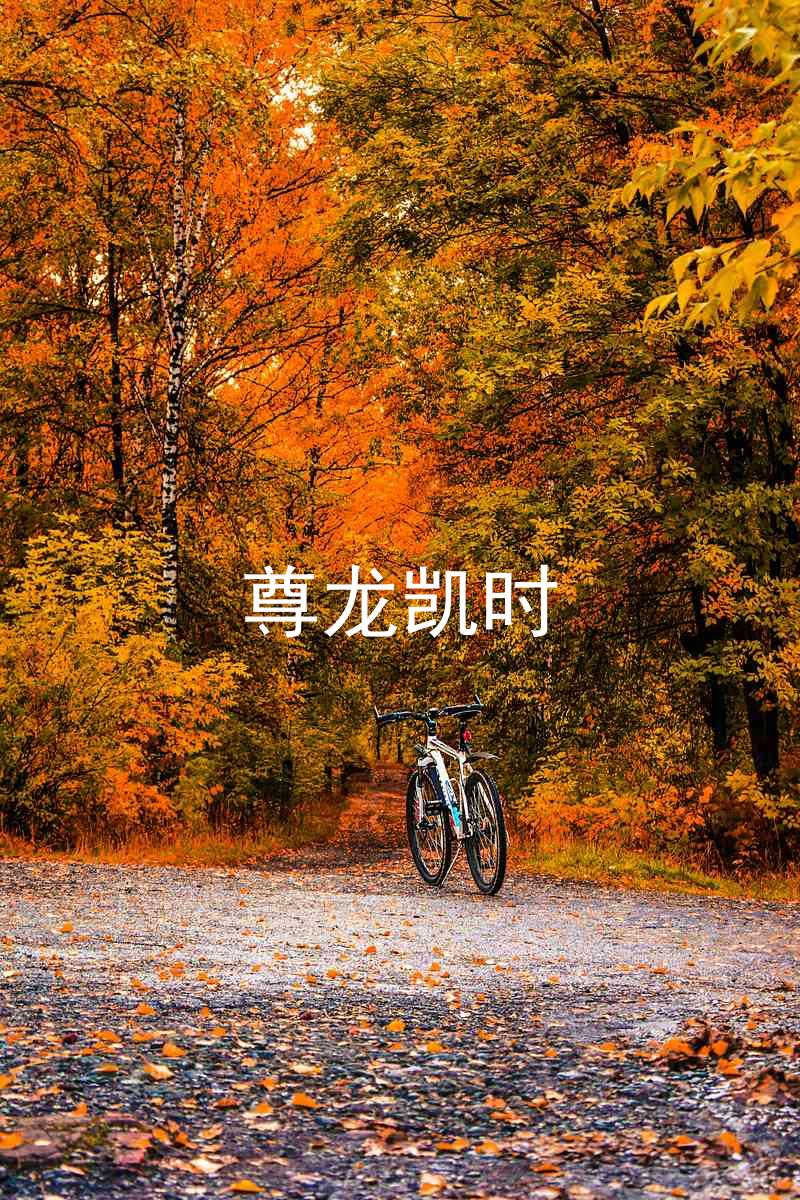 尊龙凯时